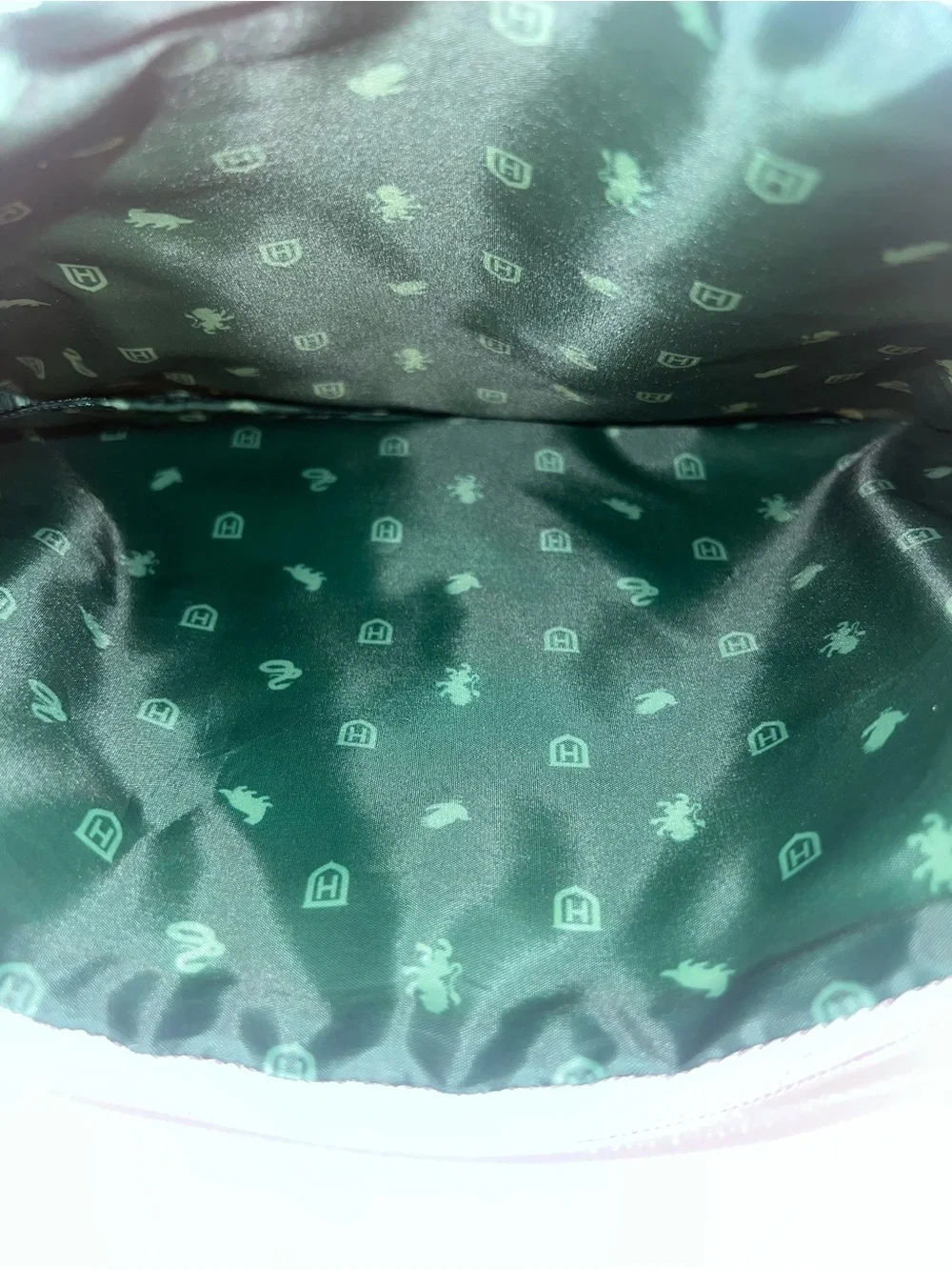 Harry Potter x Ulta Slytherin Cosmetics Makeup Bag / Case Hogwarts NWOT